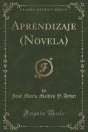 Aprendizaje (novela) (classic Reprint) di Jose Maria Matheu y Aybar edito da Forgotten Books