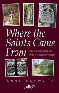 Where the Saints Came from di Anne Hayward edito da Y LOLFA