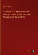 A Compilation of the Laws of Illinois, Relating to Township Organization and Management of County Affairs di Elijah Haines edito da Outlook Verlag
