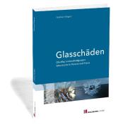 Glasschäden di Ekkehard Wagner edito da Holzmann Medien