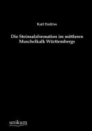 Die Steinsalzformation im mittleren Muschelkalk Württembergs di Karl Endriss edito da UNIKUM