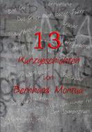 13 Kurzgeschichten di Bernhard Montua edito da Lulu.com
