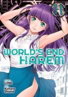 World's End Harem, Vol. 11 di LINK edito da Seven Seas Entertainment, Llc