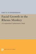 Facial Growth in the Rhesus Monkey di Emet D. Schneiderman edito da Princeton University Press
