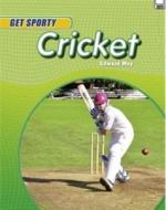 Get Sporty: Cricket di Edward Way edito da HODDER CHILDRENS