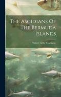 The Ascidians Of The Bermuda Islands edito da LEGARE STREET PR