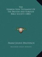 The Hebrew New Testament of the British and Foreign Bible Society (1883) di Franz Julius Delitzsch edito da Kessinger Publishing