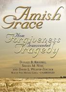 Amish Grace: How Forgiveness Transcended Tragedy [With Earbuds] di Donald B. Kraybill, Steven M. Nolt, David L. Weaver-Zercher edito da Findaway World