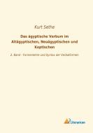 Das ägyptische Verbum im Altägyptischen, Neuägyptischen und Koptischen di Kurt Sethe edito da Literaricon Verlag