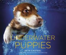 Underwater Puppies di Seth Casteel edito da LITTLE BROWN & CO