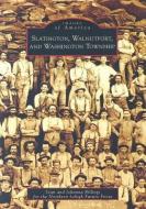 Slatington, Walnutport, and Washington Township di Sean Billings, Johanna Billings edito da ARCADIA PUB (SC)