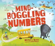 Mind-Boggling Numbers di Michael J. Rosen edito da MILLBROOK PR INC
