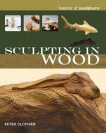 Sculpting in Wood di Peter Clothier edito da Bloomsbury Publishing PLC
