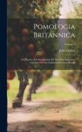 Pomologia Britannica: Or, Figures And Descriptions Of The Most Important Varieties Of Fruit Cultivated In Great Britain; Volume 3 di John Lindley edito da LEGARE STREET PR