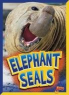 Elephant Seals di Gail Terp edito da BLACK RABBIT BOOKS