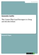 The Causes That Lead Teenagers To Drug And Alcohol Abuse di Kassandra Castillo edito da Grin Publishing