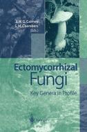 Ectomycorrhizal Fungi edito da Springer Berlin Heidelberg