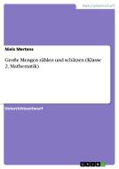 Gro E Mengen Z Hlen Und Sch Tzen (klasse 2, Mathematik) di Niels Mertens edito da Grin Publishing