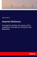 Assyrian Dictionary di Edwin Norris edito da hansebooks