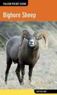 Bighorn Sheep di Jack Ballard edito da Rowman & Littlefield