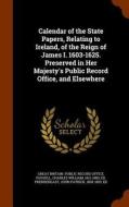 Calendar Of The State Papers, Relating To Ireland, Of The Reign Of James I. 1603-1625. Preserved In Her Majesty's Public Record Office, And Elsewhere di Charles William Russell, John Patrick Prendergast edito da Arkose Press