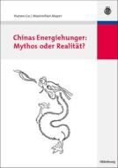 Chinas Energiehunger: Mythos oder Realität? di Xuewu Gu, Maximilian Mayer edito da De Gruyter Oldenbourg
