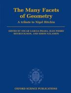 The Many Facets of Geometry di Oscar Garcia-Prada, Jean Pierre Bourguignon, Simon Salamon edito da Oxford University Press