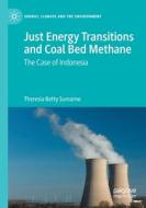 Just Energy Transitions and Coal Bed Methane di Theresia Betty Sumarno edito da Springer International Publishing