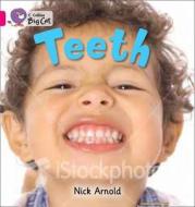 Teeth Workbook di Nick Arnold edito da HarperCollins Publishers