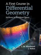 A First Course in Differential Geometry di Lyndon Woodward, John Bolton edito da Cambridge University Press