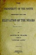 The Prosperity of the South Dependent Upon the Elevation of the Negro di Lewis H. Blair edito da Createspace