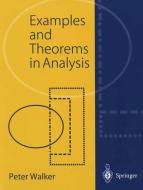 Examples and Theorems in Analysis di Peter Walker edito da Springer London