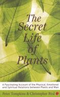 The Secret Life Of Plants di Peter Tompkins edito da Rupa & Co