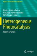 Heterogeneous Photocatalysis edito da Springer International Publishing
