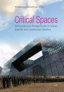 Critical Spaces edito da Lit Verlag