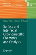 Surface And Interfacial Organometallic Chemistry And Catalysis di Christope Coperet, C. Coperet edito da Springer-verlag Berlin And Heidelberg Gmbh & Co. Kg