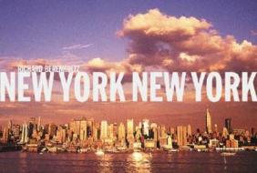 New York, New York di Richard Berenholtz edito da Rizzoli International Publications