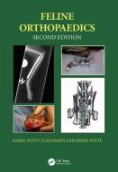 Feline Orthopaedics di Harry Scott, Juan M. Marti, Philip Witte edito da Taylor & Francis Inc