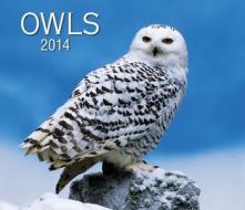 Owls 2014 di Firefly Books edito da Firefly Books