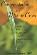 Contemplation and Midlife Crisis: Examples from Classical and Contemporary Spirituality di Rosemarie Carfagna edito da PAULIST PR