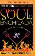 Soul Enchilada di David Macinnis Gill edito da Brilliance Audio