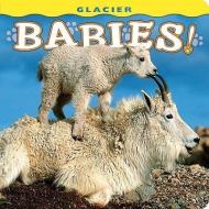 Glacier Babies! edito da Farcountry Press