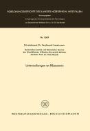 Untersuchungen an Ribosomen di Ferdinand Amelunxen edito da VS Verlag für Sozialwissenschaften