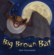 Big Brown Bat di Rick Chrustowski edito da Henry Holt & Company