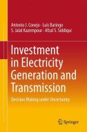 Investment in Electricity Generation and Transmission di Luis Baringo, Antonio J. Conejo, S. Jalal Kazempour, Afzal S. Siddiqui edito da Springer International Publishing