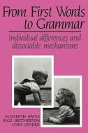 From First Words to Grammar di Inge Bretherton, Lynn Snyder, Elizabeth Bates edito da Cambridge University Press