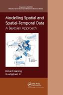 Modelling Spatial And Spatial-Temporal Data di Robert P. Haining, Guangquan Li edito da Taylor & Francis Ltd