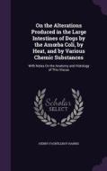 On The Alterations Produced In The Large Intestines Of Dogs By The Am Ba Coli, By Heat, And By Various Chemic Substances di Henry Fauntleroy Harris edito da Palala Press