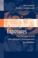 Prenatal Exposures di Stefan C. Dombrowski, Roy P. Martin edito da Springer US