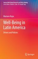 Well-Being in Latin America di Mariano Rojas edito da Springer International Publishing